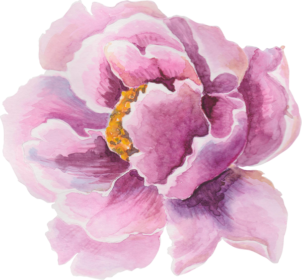 Watercolor Pink Flower 