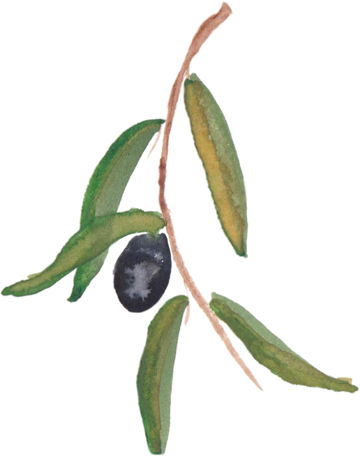 Hand-Painted Branch of Blueberry Illustration