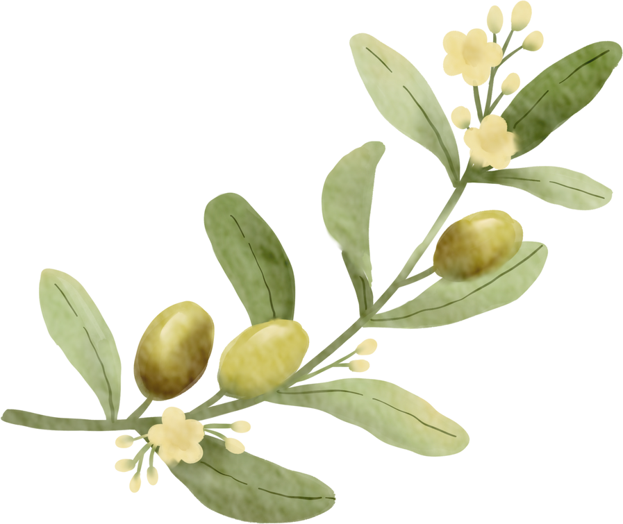 Watercolor olive element